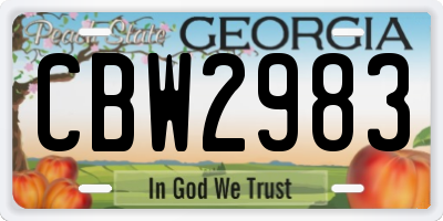 GA license plate CBW2983