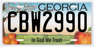 GA license plate CBW2990