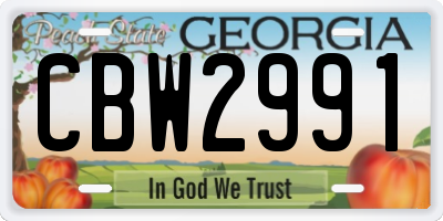 GA license plate CBW2991