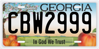 GA license plate CBW2999