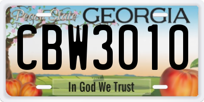 GA license plate CBW3010
