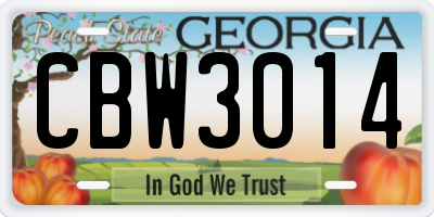 GA license plate CBW3014