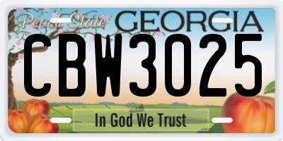 GA license plate CBW3025