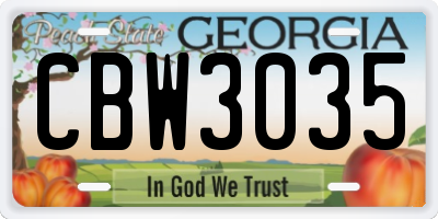 GA license plate CBW3035