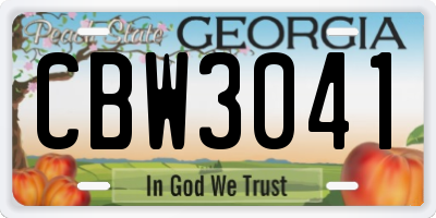 GA license plate CBW3041