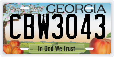 GA license plate CBW3043