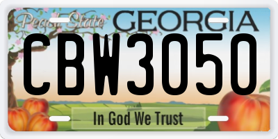 GA license plate CBW3050