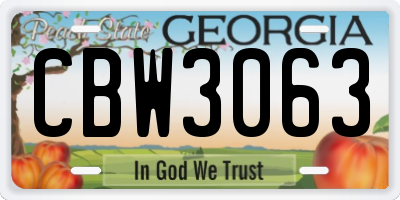 GA license plate CBW3063