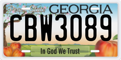 GA license plate CBW3089