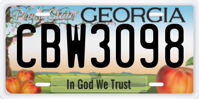 GA license plate CBW3098