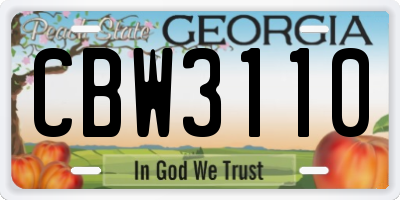 GA license plate CBW3110