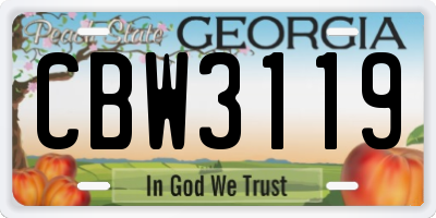 GA license plate CBW3119