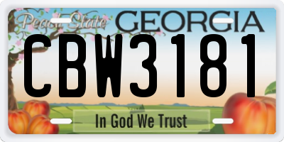 GA license plate CBW3181