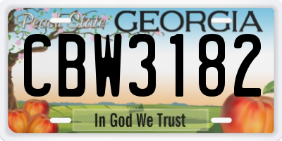 GA license plate CBW3182