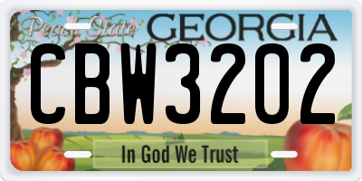 GA license plate CBW3202