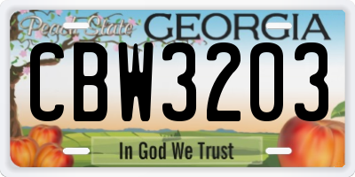 GA license plate CBW3203