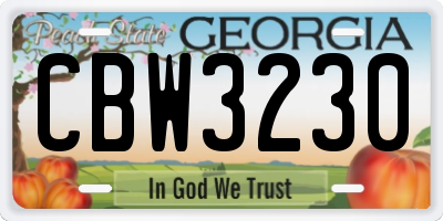 GA license plate CBW3230