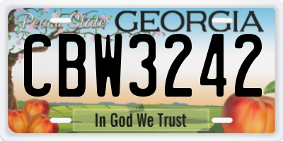 GA license plate CBW3242