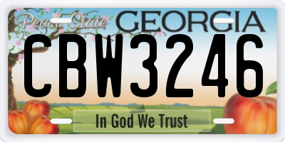 GA license plate CBW3246