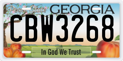 GA license plate CBW3268