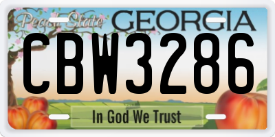 GA license plate CBW3286