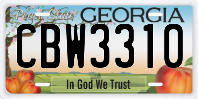 GA license plate CBW3310