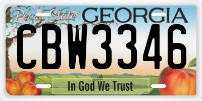 GA license plate CBW3346