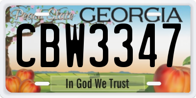 GA license plate CBW3347