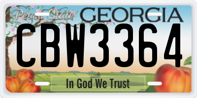 GA license plate CBW3364