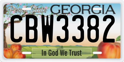 GA license plate CBW3382