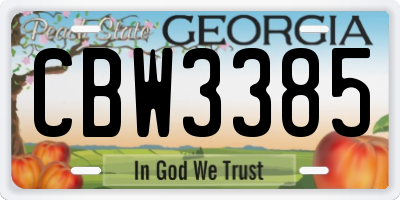 GA license plate CBW3385