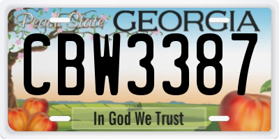 GA license plate CBW3387
