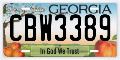 GA license plate CBW3389
