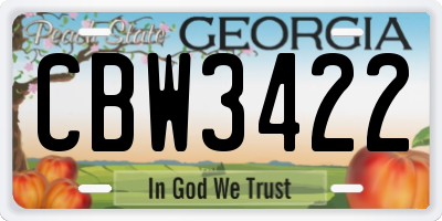 GA license plate CBW3422