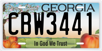 GA license plate CBW3441