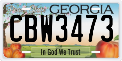 GA license plate CBW3473