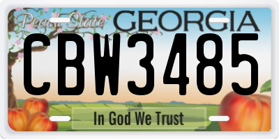 GA license plate CBW3485