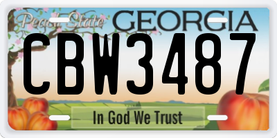 GA license plate CBW3487