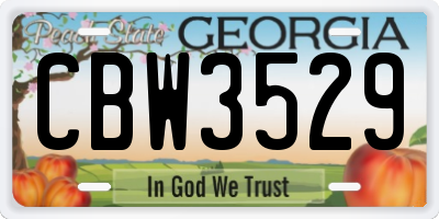 GA license plate CBW3529