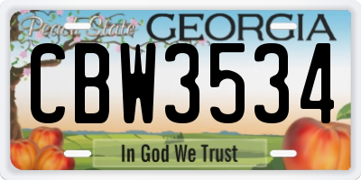 GA license plate CBW3534