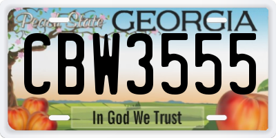 GA license plate CBW3555