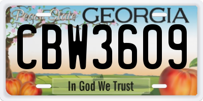 GA license plate CBW3609