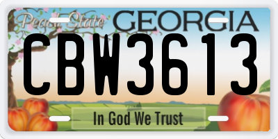 GA license plate CBW3613