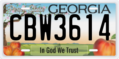 GA license plate CBW3614