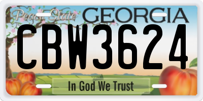 GA license plate CBW3624