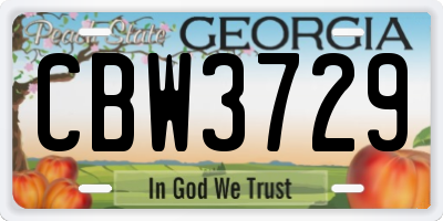 GA license plate CBW3729