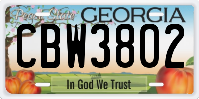 GA license plate CBW3802