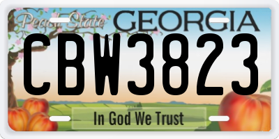 GA license plate CBW3823