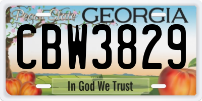 GA license plate CBW3829
