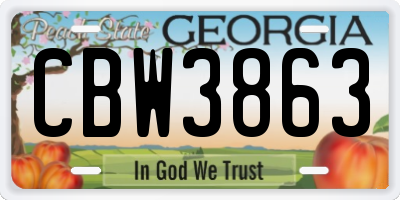 GA license plate CBW3863